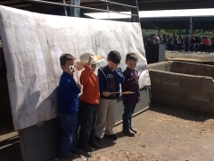 2015 Whip Crackin Rodeo