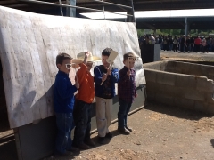 2015 Whip Crackin Rodeo