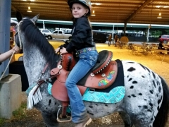 2017 Whip Crackin Rodeo