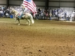 2017 Whip Crackin Rodeo